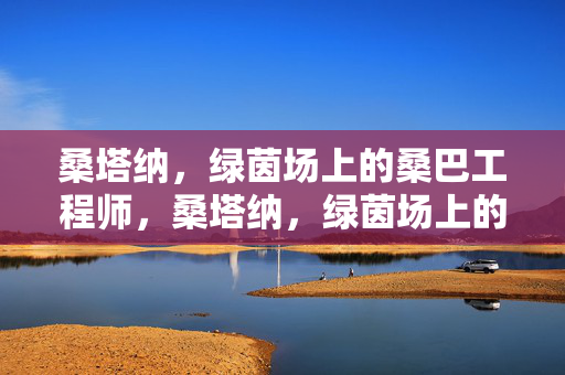 桑塔纳，绿茵场上的桑巴工程师，桑塔纳，绿茵场上的桑巴工程师
