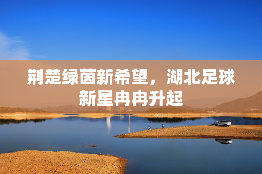 荆楚绿茵新希望，湖北足球新星冉冉升起