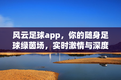 风云足球app，你的随身足球绿茵场，实时激情与深度陪伴，随身绿茵场，实时激情——风云足球