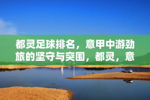 都灵足球排名，意甲中游劲旅的坚守与突围，都灵，意甲中游劲旅的坚守与突围