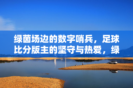 绿茵场边的数字哨兵，足球比分版主的坚守与热爱，绿茵场边的数字哨兵，足球比分版主的坚守与热爱