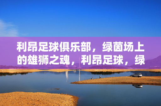 利昂足球俱乐部，绿茵场上的雄狮之魂，利昂足球，绿茵场上的雄狮之魂