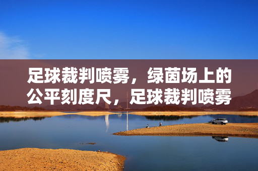 足球裁判喷雾，绿茵场上的公平刻度尺，足球裁判喷雾，绿茵场的公平刻度尺