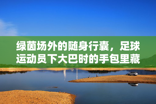 绿茵场外的随身行囊，足球运动员下大巴时的手包里藏着什么？绿茵场外的随身行囊，足球运动员大巴手包里藏着什么？