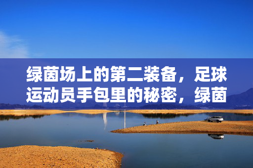 绿茵场上的第二装备，足球运动员手包里的秘密，绿茵场第二装备，球员手包里的秘密