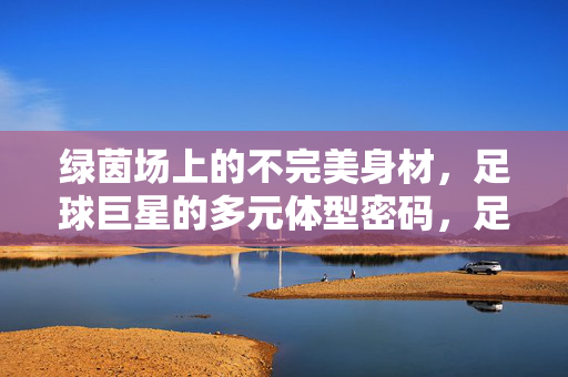 绿茵场上的不完美身材，足球巨星的多元体型密码，足球巨星的多元体型密码，绿茵场上的不完美印记