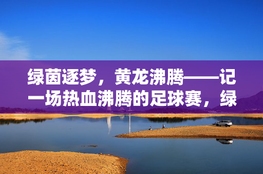 绿茵逐梦，黄龙沸腾——记一场热血沸腾的足球赛，绿茵逐梦，黄龙沸腾