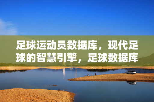 足球运动员数据库，现代足球的智慧引擎，足球数据库，现代足球智慧引擎