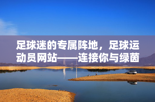 足球迷的专属阵地，足球运动员网站——连接你与绿茵场的桥梁，足球迷专属阵地，连接你与绿茵场的桥梁