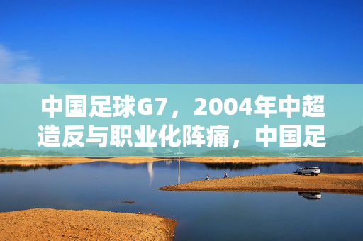 中国足球G7，2004年中超造反与职业化阵痛，中国足球G7，2004年中超造反与职业化阵痛