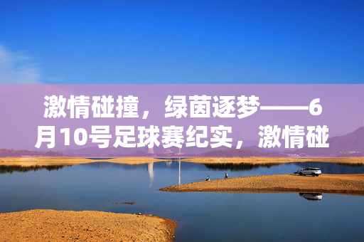 激情碰撞，绿茵逐梦——6月10号足球赛纪实，激情碰撞，绿茵逐梦——6月10日足球赛纪实