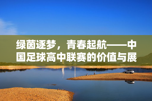 绿茵逐梦，青春起航——中国足球高中联赛的价值与展望，青春逐梦绿茵，中国足球高中联赛的价值与展望