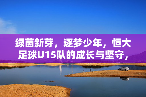 绿茵新芽，逐梦少年，恒大足球U15队的成长与坚守，绿茵新芽逐梦少年，恒大U15成长与坚守