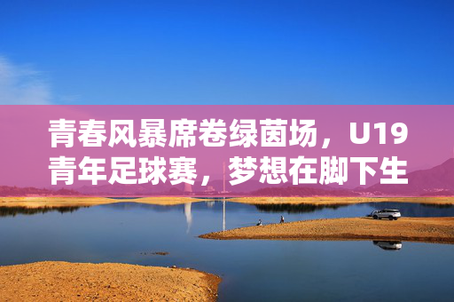 青春风暴席卷绿茵场，U19青年足球赛，梦想在脚下生长，青春风暴绿茵场，U19青年足球赛梦想脚下生