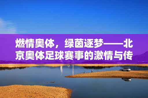 燃情奥体，绿茵逐梦——北京奥体足球赛事的激情与传承，奥体绿茵燃情，足球传承逐梦