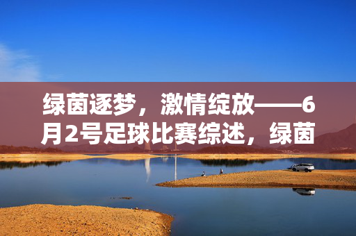 绿茵逐梦,激情绽放——6月2号足球比赛综述,绿茵逐梦,激情绽放——6月2号足球比赛综述