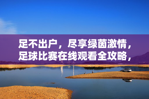 足不出户，尽享绿茵激情，足球比赛在线观看全攻略，足不出户尽享绿茵激情，足球比赛在线观看全攻略