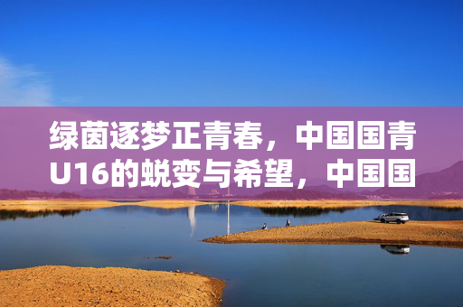 绿茵逐梦正青春，中国国青U16的蜕变与希望，中国国青U16，绿茵逐梦正青春，蜕变与希望