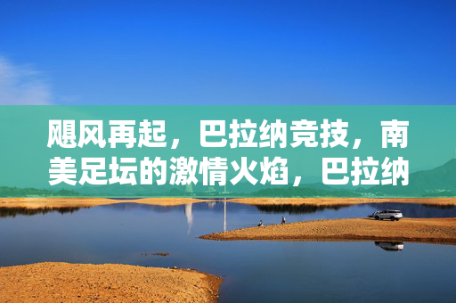 飓风再起，巴拉纳竞技，南美足坛的激情火焰，巴拉纳竞技飓风再起，南美足坛激情火焰