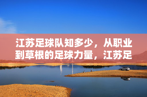 江苏足球队知多少，从职业到草根的足球力量，江苏足球力量，从职业到草根的全景