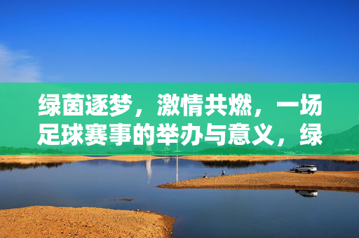 绿茵逐梦，激情共燃，一场足球赛事的举办与意义，绿茵逐梦，激情共燃——足球赛事的意义