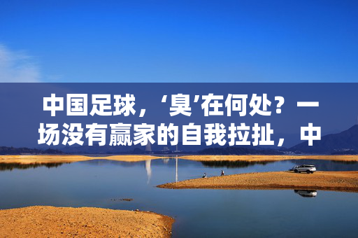 中国足球，‘臭’在何处？一场没有赢家的自我拉扯，中国足球，臭在何处？一场无赢家的自我困局