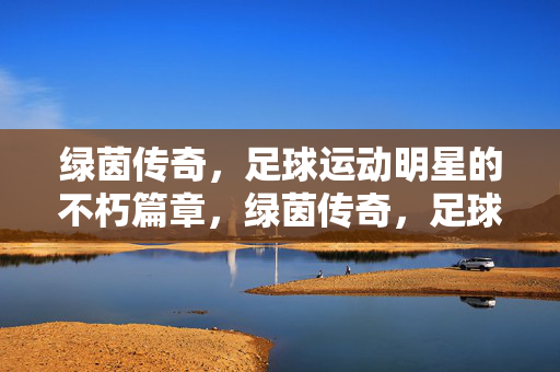 绿茵传奇，足球运动明星的不朽篇章，绿茵传奇，足球明星的不朽篇章