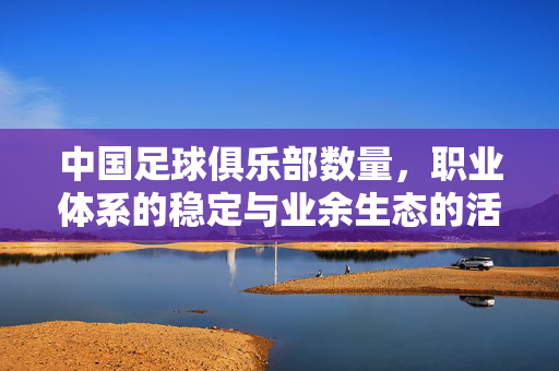 中国足球俱乐部数量，职业体系的稳定与业余生态的活力，中国足球俱乐部数量，职业体系稳定与业余生态活力协同