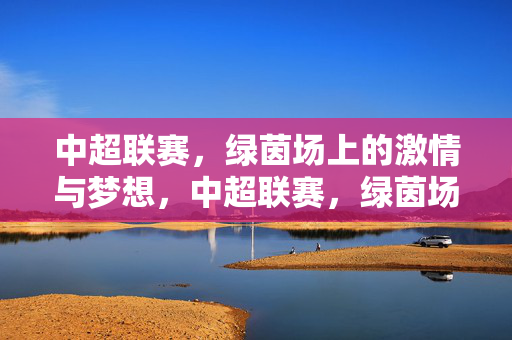 中超联赛，绿茵场上的激情与梦想，中超联赛，绿茵场上的激情与梦想