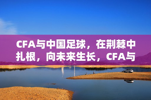 CFA与中国足球，在荆棘中扎根，向未来生长，CFA与中国足球，荆棘扎根，未来生长