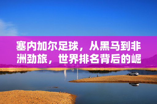塞内加尔足球，从黑马到非洲劲旅，世界排名背后的崛起之路，塞内加尔足球，从黑马到非洲劲旅的崛起之路