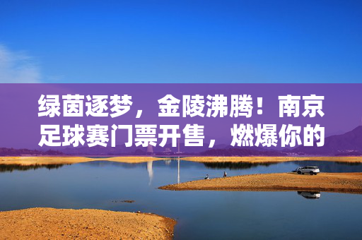绿茵逐梦，金陵沸腾！南京足球赛门票开售，燃爆你的夏日激情，南京足球赛门票开售，绿茵逐梦，夏日金陵沸腾