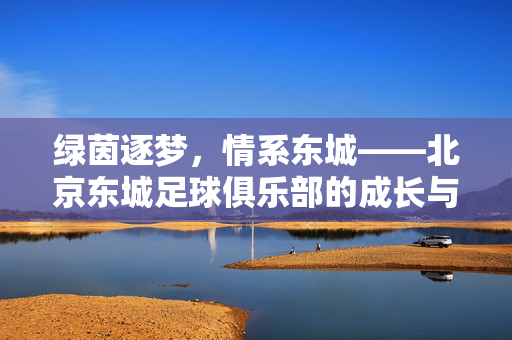 绿茵逐梦，情系东城——北京东城足球俱乐部的成长与坚守，北京东城足球俱乐部，绿茵逐梦的成长与坚守
