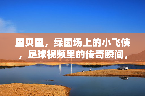 里贝里，绿茵场上的小飞侠，足球视频里的传奇瞬间，小飞侠里贝里，绿茵传奇瞬间