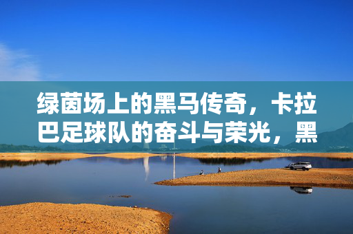 绿茵场上的黑马传奇，卡拉巴足球队的奋斗与荣光，黑马卡拉巴，绿茵场的奋斗与荣光