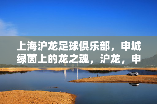 上海沪龙足球俱乐部，申城绿茵上的龙之魂，沪龙，申城绿茵的龙之魂