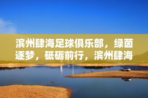 滨州肆海足球俱乐部，绿茵逐梦，砥砺前行，滨州肆海，绿茵逐梦砥砺前行