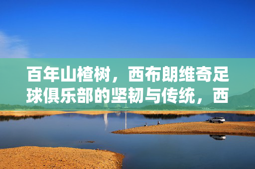 百年山楂树，西布朗维奇足球俱乐部的坚韧与传统，西布朗维奇，百年山楂树下的坚韧与传统