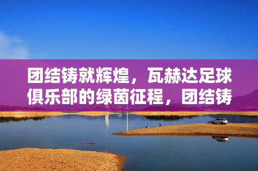 团结铸就辉煌，瓦赫达足球俱乐部的绿茵征程，团结铸就辉煌，瓦赫达足球俱乐部的绿茵征程