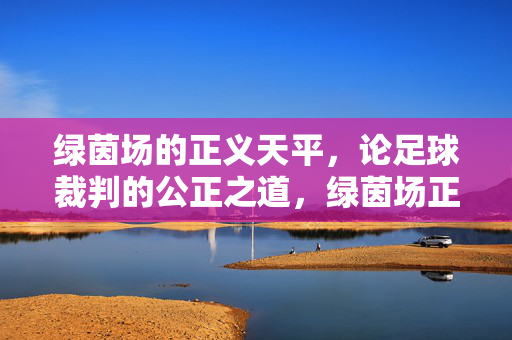 绿茵场的正义天平，论足球裁判的公正之道，绿茵场正义天平，足球裁判的公正之道