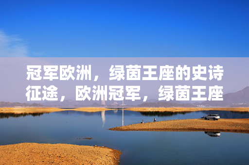冠军欧洲，绿茵王座的史诗征途，欧洲冠军，绿茵王座的史诗征途