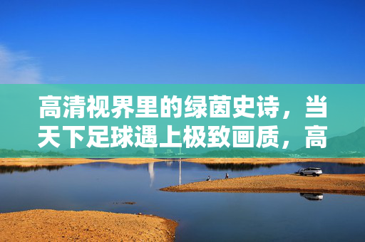 高清视界里的绿茵史诗，当天下足球遇上极致画质，高清视界，天下足球的绿茵史诗