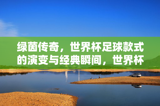 绿茵传奇，世界杯足球款式的演变与经典瞬间，世界杯足球演变与经典瞬间，绿茵传奇