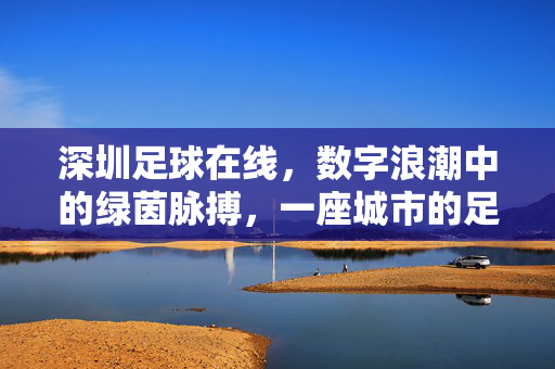 深圳足球在线，数字浪潮中的绿茵脉搏，一座城市的足球信仰图腾，深圳足球，数字浪潮中的绿茵图腾