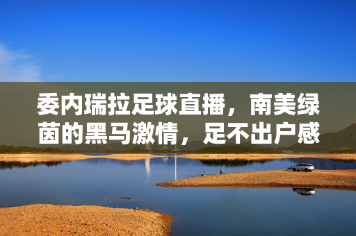 委内瑞拉足球直播，南美绿茵的黑马激情，足不出户感受安第斯山脉的足球烟火，委内瑞拉足球直播，南美绿茵黑马，安第斯山脉足球烟火