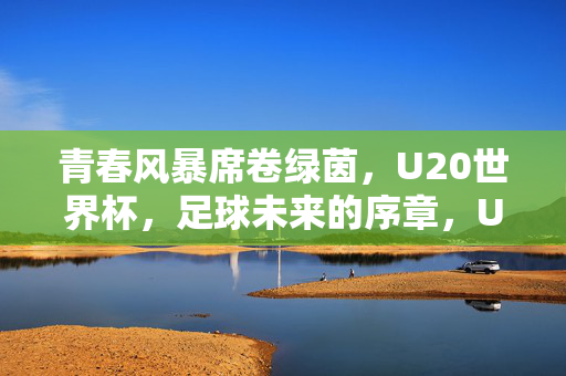 青春风暴席卷绿茵，U20世界杯，足球未来的序章，U20世界杯青春风暴，绿茵上的未来序章