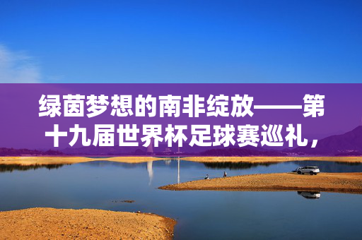 绿茵梦想的南非绽放——第十九届世界杯足球赛巡礼，绿茵梦想南非绽放——第十九届世界杯足球赛巡礼