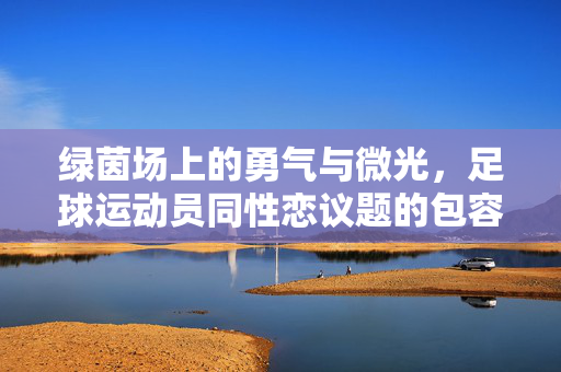 绿茵场上的勇气与微光，足球运动员同性恋议题的包容之路，绿茵场的勇气与微光，足球运动员同性恋议题的包容之路