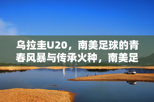 乌拉圭U20，南美足球的青春风暴与传承火种，南美足球青春风暴，乌拉圭U20的传承火种
