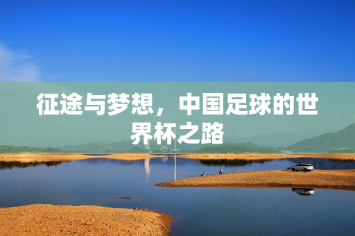 征途与梦想，中国足球的世界杯之路
